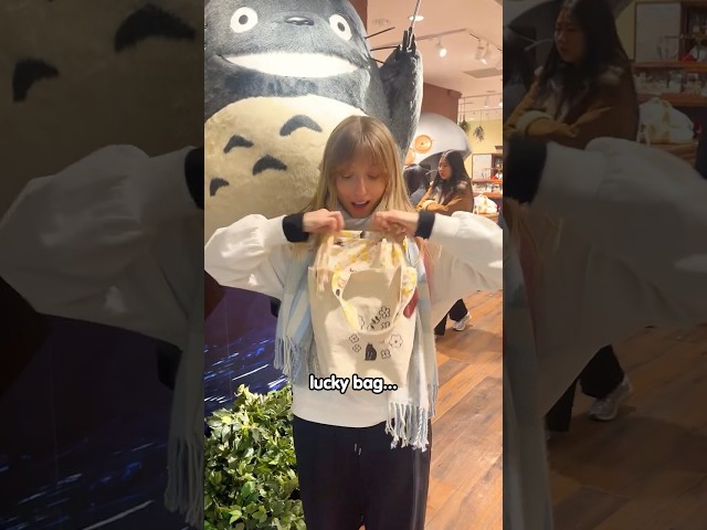 Vídeo relacionado con Studio Ghibli - My Neighbor Totoro - Totoro, vajilla tradicional japonesa lacada - Cuenco pequeño