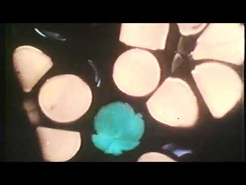 TuS Belecke 1978 Fußball