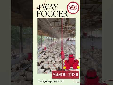 Poultry Jumbo Feeder