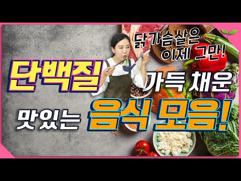 단백질 샐러드 브런치 유튜브 영상