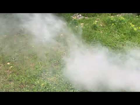 Mehr geile dreckige Abgase ￼