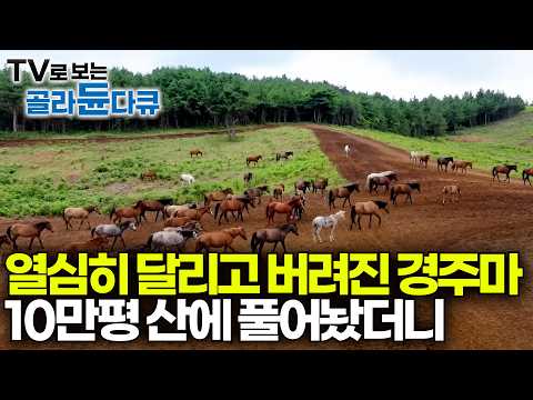 유튜브 썸네일
