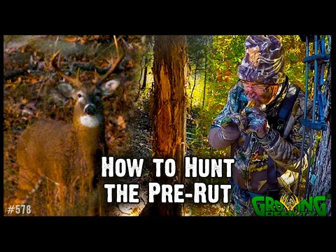 8 Tips for Hunting the Pre-Rut  | Myth Buster - Deer Activity is NOT Based On  Moon Phase (578)