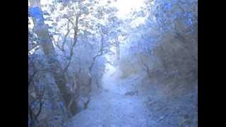 Sometimes I Feel Like a Motherless Child: A case for Immigration Reform