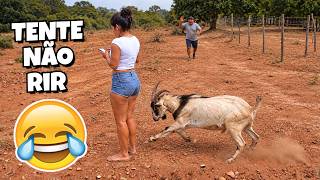 VÍDEOS ENGRAÇADOS 2026 😂🤣 TENTE NÃO RIR MEMES 😂 - #71