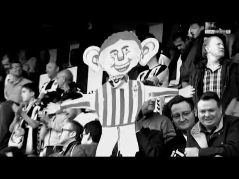 La Lupa 🔎 Playoffs 19/20 - CD Castellón - Pam Pam Orellut