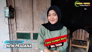 Download lagu Cinta Sampai Mati || Voc Tasya || NEW PRADANA mp3 Download lagu Cinta Sampai Mati || Voc Tasya || NEW PRADANA mp3