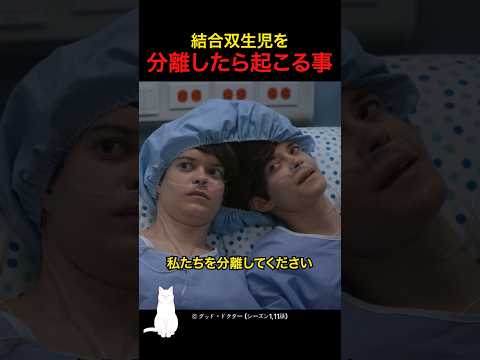 結合双生児を分離したら起こる事