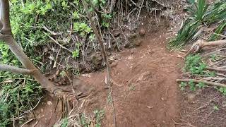 Path to Turtle Cove, Kauai
