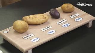 Monalisa, violeta, agria y Kennebec, ¿para qué sirve cada patata