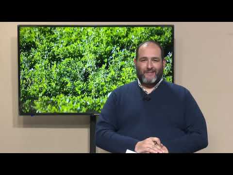 01/07/20 InforAgro TV (2da. Parte)