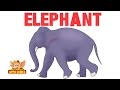 Animal Sounds Elephant