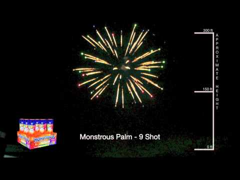 Monstrous Palm - 9 Shot