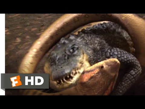 レイクプラシッド対アナコンダ（2015） - アナコンダ対クロコダイルのシーン（4/10）｜Movieclips (Lake Placid vs. Anaconda (2015) - Anaconda vs. Crocodile Scene (4/10) | Movieclips)