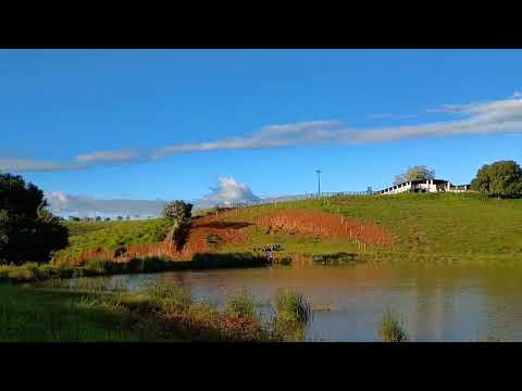 Fazenda gurijó Zona rural de Itaquitinga PE 