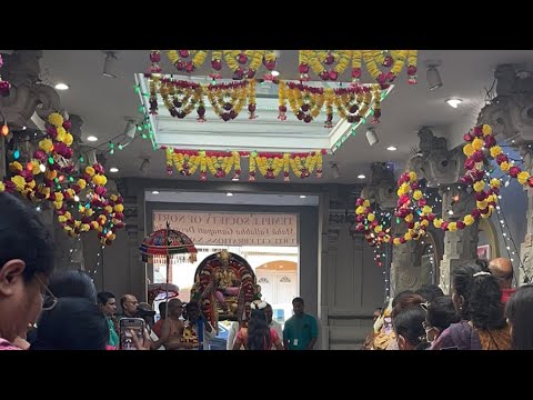 Kalpa Vriksha - The Wish Tree