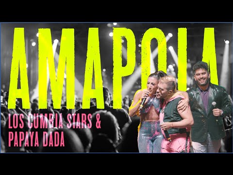 Amapola - Los Cumbia Stars & @PapayaDada  (Video en vivo)