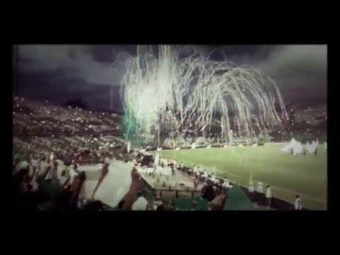 "Recibimiento atlético nacional" Barra: Los del Sur • Club: Atlético Nacional