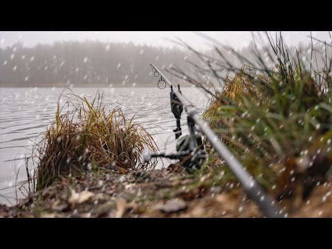 Karpfen Angeln im Winter ❄️ Tipps für die kalten Nächte
