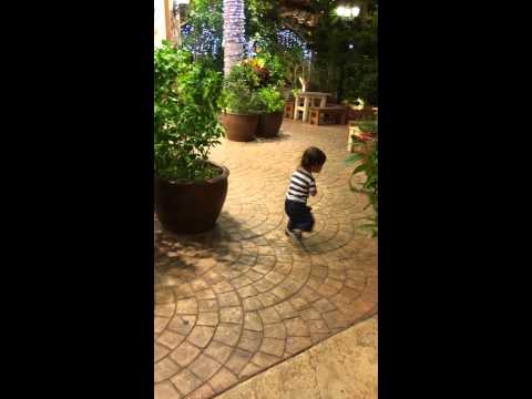 1歳11ヶ月ストリートダンス⁈  follow your instinct Bigger Better Faster  feat Busta Rhyme