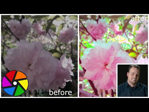 Processing Photos in Darktable