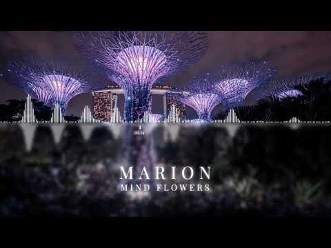 MARION - Mind Flowers | ChillStep