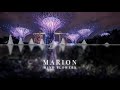 MARION Mind Flowers ChillStep
