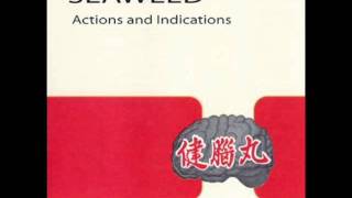 Seaweed - Hard Times