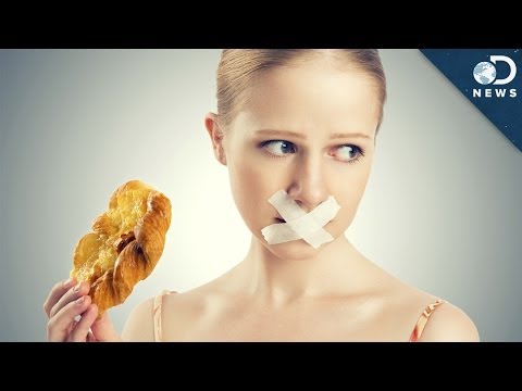 Low-Carb vs. Low-Fat: Which Diet Is Better?