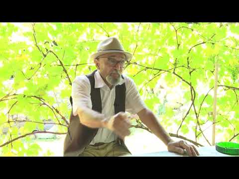 Lica života  - DUŠAN VUJKOV, auto električar i umetnik! ČEKAO TITA, GRADIO ZA SADAMA...