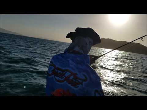 EP5 Catching inshore mackerel on light gear. Filleting and creating mackerel Cutlets.