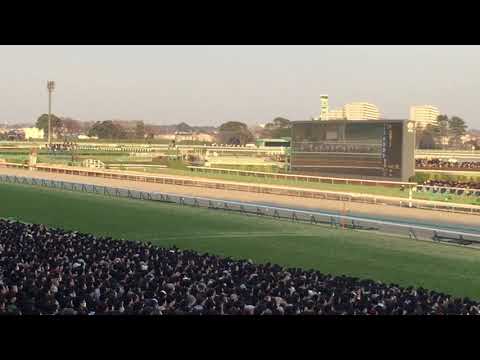 2017.12.24 有馬記念 スタートからゴールまで ［現地撮影］