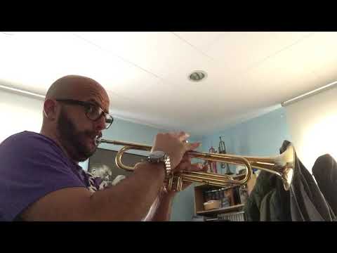 Escuchar, leer y tocar vol.1, Mi manzanita (track 74)- trompeta