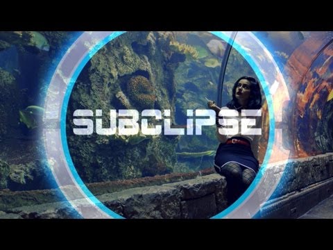 Moseqar ft. Zoë Phillips - Nobody Knows