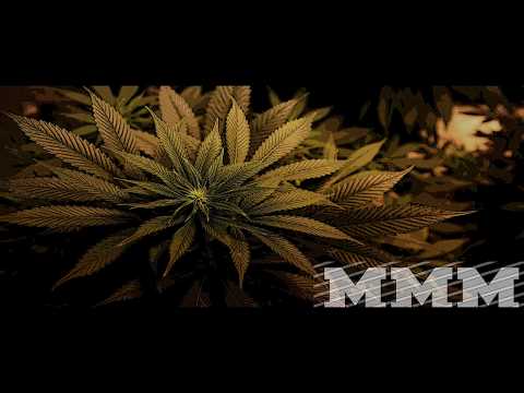 PEATEO - MACIEJ MACIEJ MACIEK