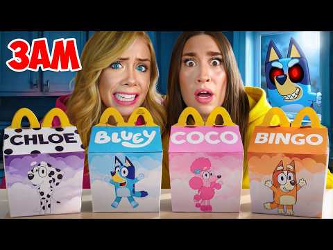 DO NOT ORDER ALL BLUEY HAPPY MEALS AT 3 AM...