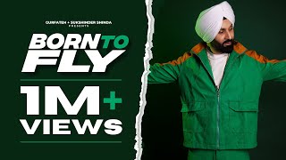 Born To Fly song artwork