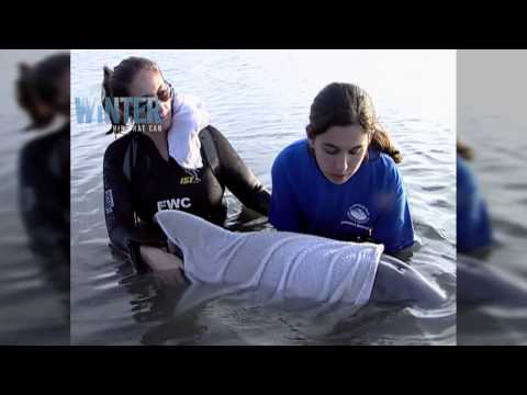 Original Footage of Winter's Rescue