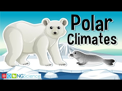 image-What are some characteristics of polar climate?
