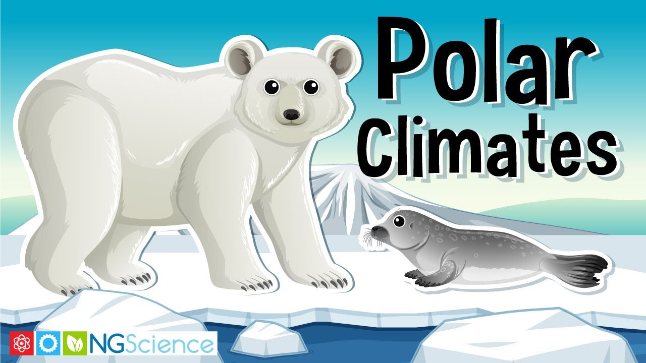 Where are the polar regions?