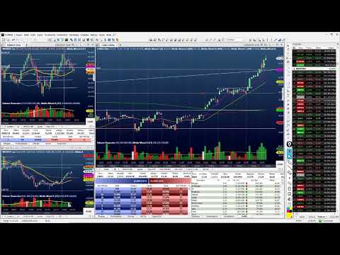 Palinha do Palex dia 22 de Maio de 2019