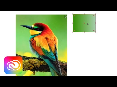 Live Illustration with Maria Gronlund - DAY 1/3 | Adobe Creative Cloud