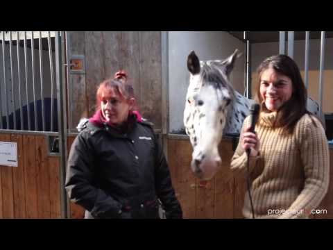 Rosi Hochegger  Gala des Crinières d'Or -  Avignon