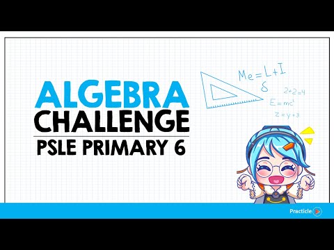 Primary 6 PSLE Math Question on Algebra: How good is your logic?