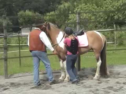 comment monter un jeune cheval