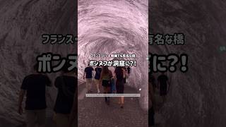 パリ最古の橋が洞窟に!? Le Pont Neuf devient une grotte 🇫🇷 #shorts #フランス生活 #現代アート #pontneuf #paris