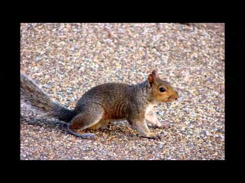 Krist Van D ft. Reminiscence - Feel Me (Dasty & Blein Remix)