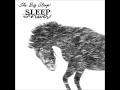 The Big Sleep - Sleep Forever 