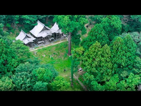 男鹿・トレイルラン (Trail Run)