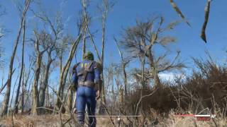 [Fallout4]真サバイバルを生き残れ！2日目